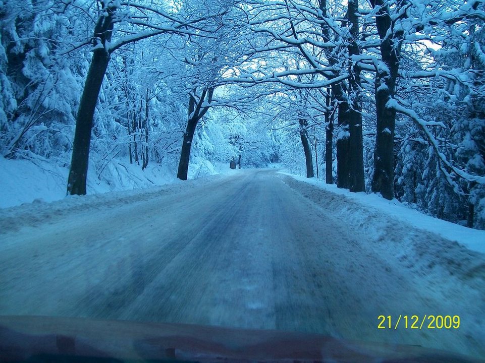Droga z Sierpca do Szczutowa, 21 grudnia 2009 r.