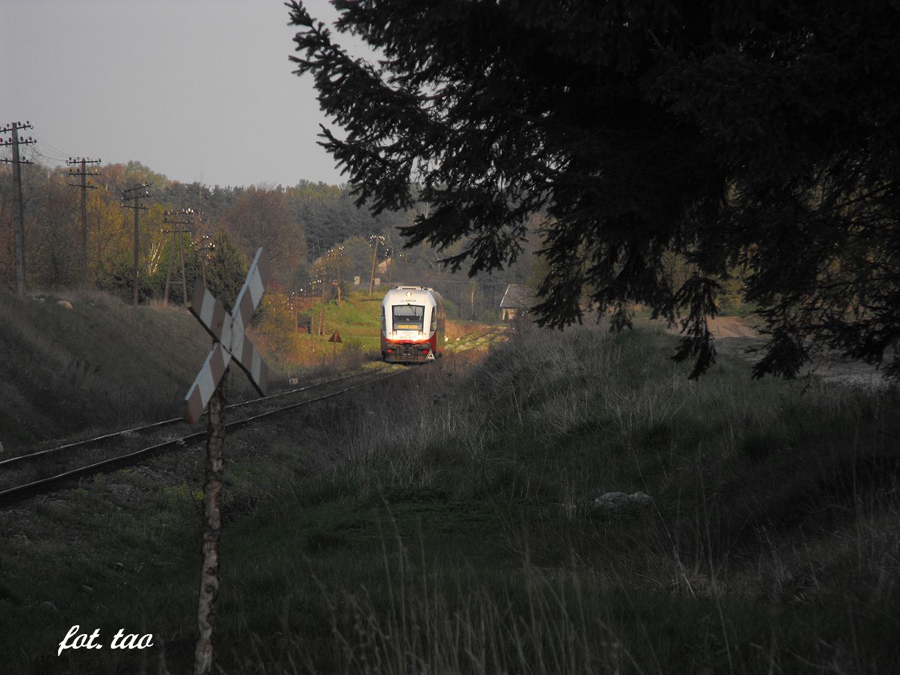 Szynobus jako pociąg osobowy z Torunia do Sierpca minął przejazd w Sułocinie i zbliża się do Mieszczka (na zdjęciu w oddali), 8.05.2014 r.