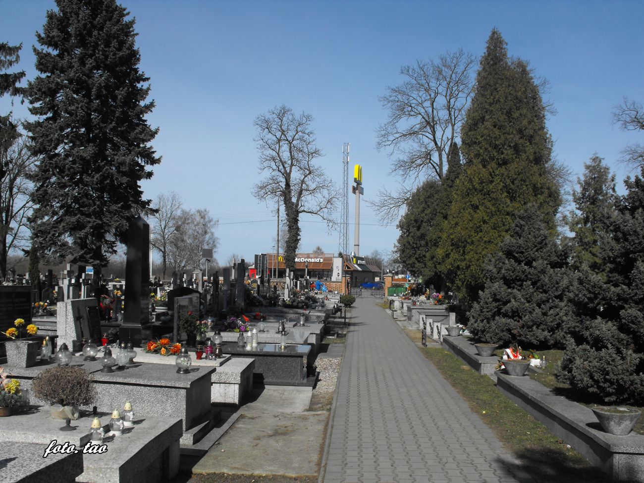 Jedna z głównych alei na sierpeckim cmentarzu. Dla większości jest to 