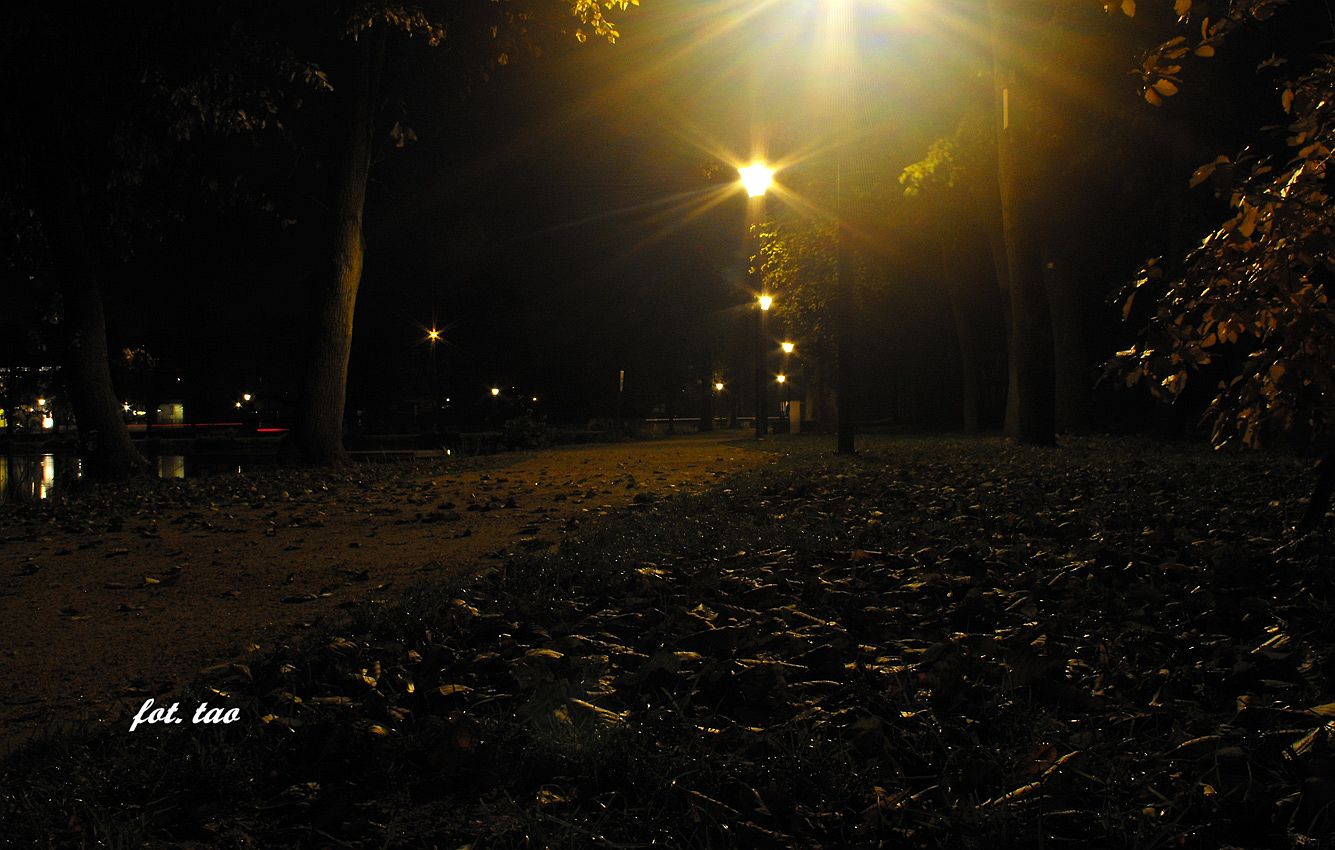 Jesienny spacer po parku Jeziórka 22-X-2015r.