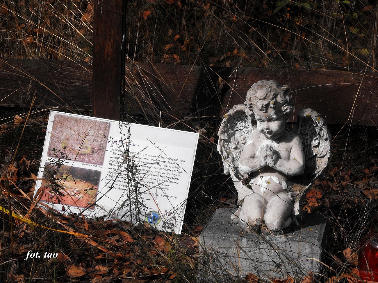 Figurka anioła na jednej z mogił cmentarza ewangelickiego w Osówce, 1.10.2016 r.