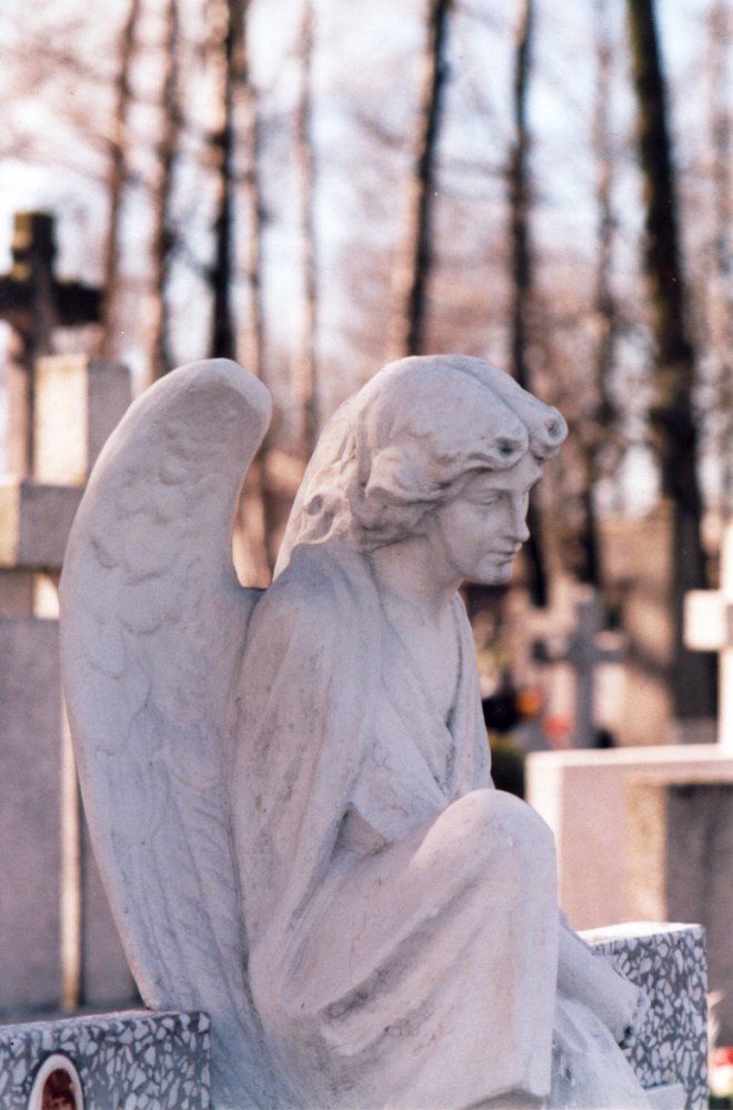 Anio na cmentarzu w Ligowie