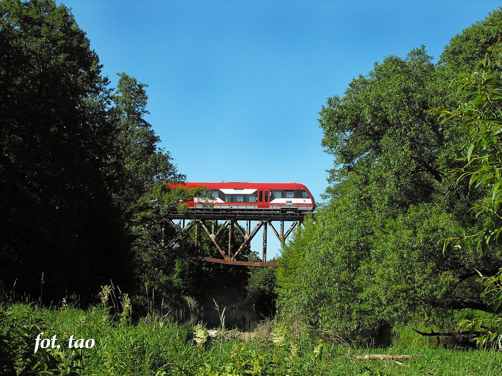 Most kolejowy na Skrwie w Mieszczku. Na mocie szynobus do Torunia, 27.06.2010 r.