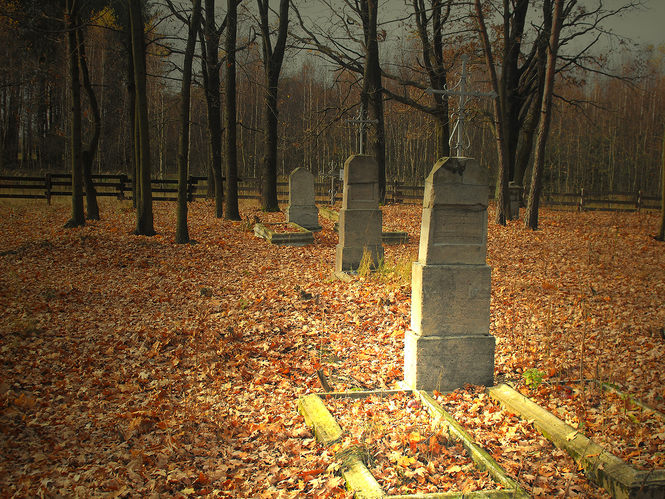 Cmentarz Ewangelicki w Czartowni-Jze­fowie,  27.10.2013 r.
