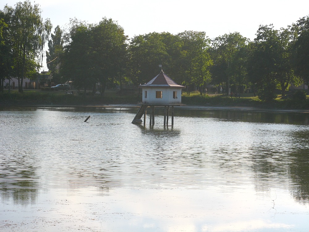 Jeziórka - Domek dla ptaków - wody coraz mniej, 5 lipca 2008 r.