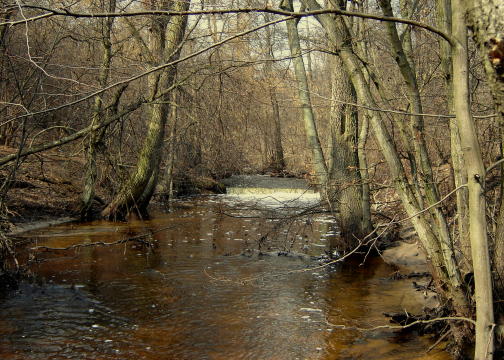 wiosenna woda na strudze w Suocinie.