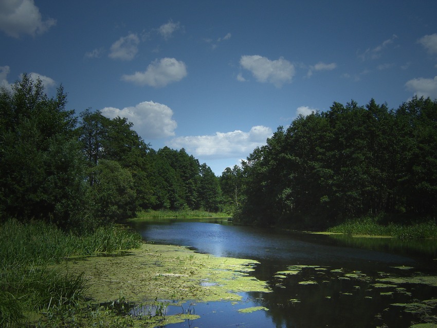 Lato 2006. Rzeka Skrwa