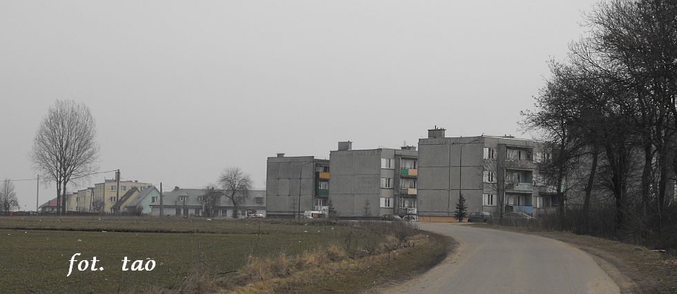 Osiedle mieszkaniowe w Rempinie k/Gozdowa, 15.03.2009 r.