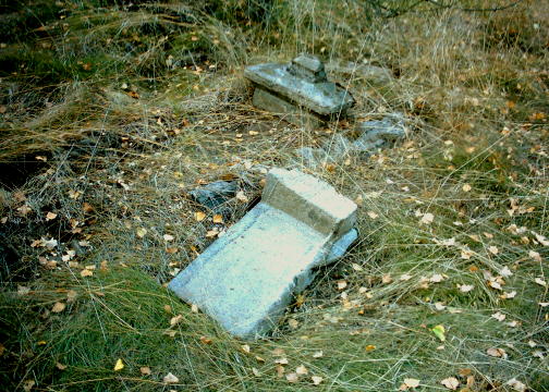 Cmentarz ewangelicki w Oswce k/Sierpca, zdjcie z dnia 9.09. 2005 r.