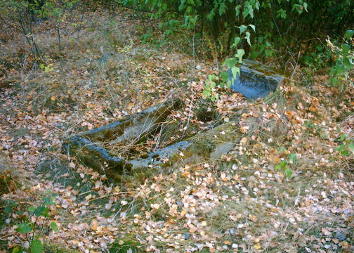 Cmentarz ewangelicki w Osówce k/Sierpca, 9.09.2005 r.