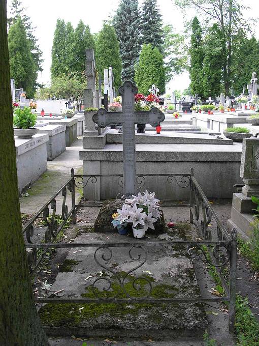 Jeden z poniemieckich grobów na sierpeckim cmentarzu - 1894 rok.<BR>Henrietta  Cieske, z domu Dimkoska.