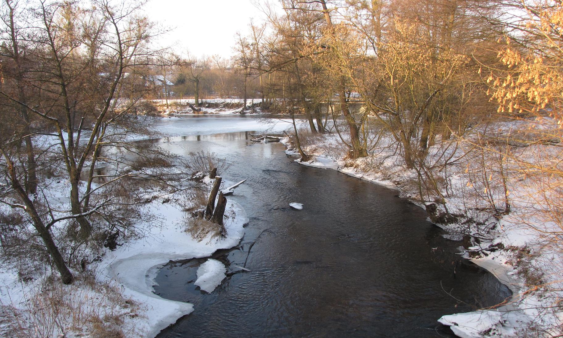 Rzeka Skrwa, 12.01.2009 r.