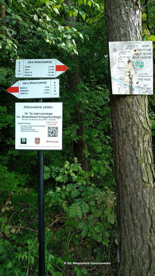 Odświeżone tabliczki informacyjne w choczeńskim lesie, dotyczące Czerwonego Szlaku Turystycznego im. Bolesława Krzywoustego, który łączy Sierpc z Płockiem, sierpień 2019 r.