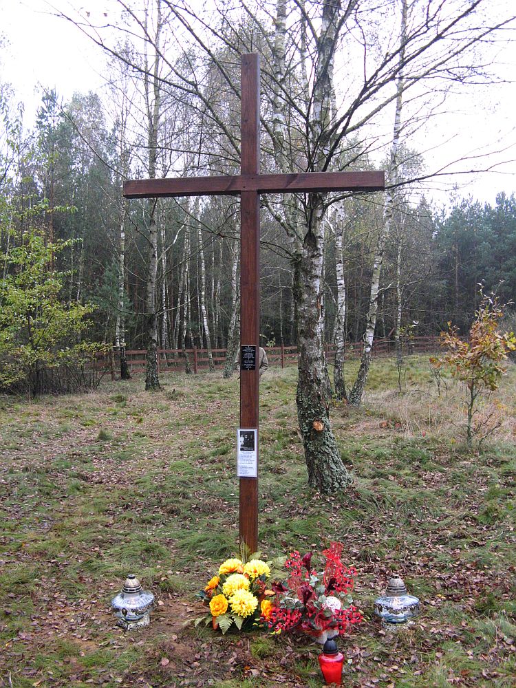 Nowy krzy na cmentarzu w Oswce, stojcy przy wejciu na nekropoli.