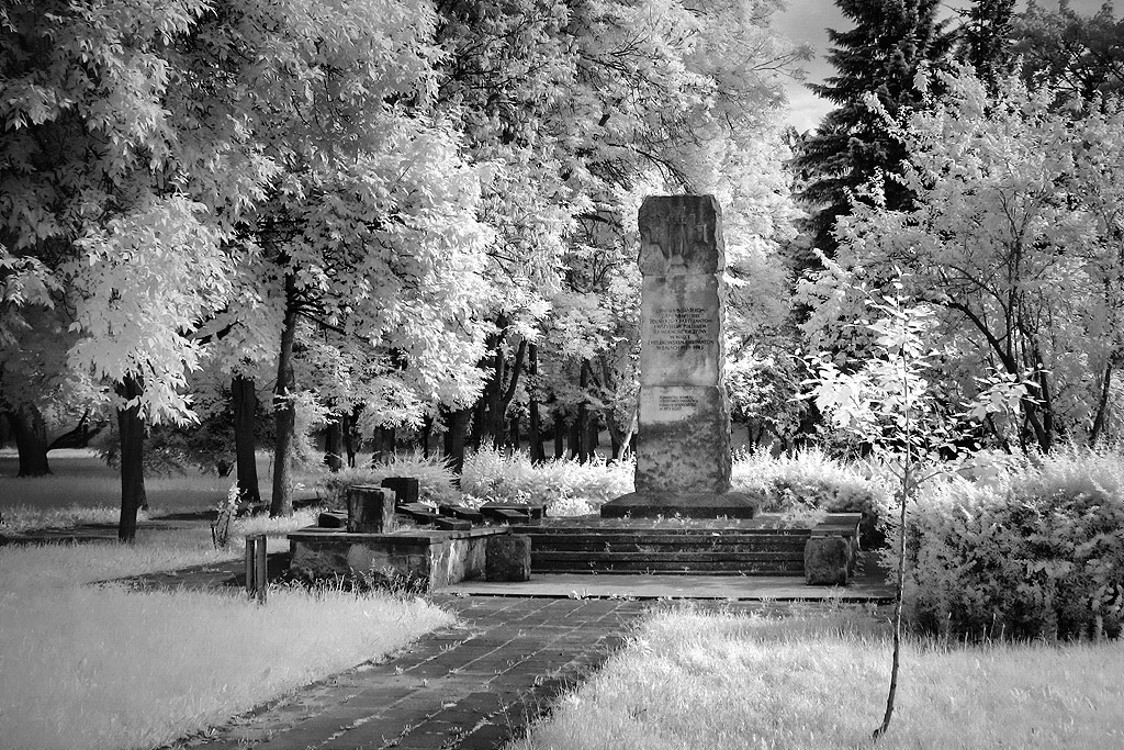 Pomnik w parku im. Paciorkie­wicza,  tzw. Mapiaku. Pomnik powicony onierzom, partyzantom i wszystkim polegym za wolno Ojczyzny w walce z hitlerowcami w latach 1939-1945. Zdjcie wykonane 23.06.2010 r.
