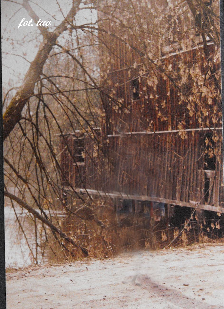 Myn w Mieszczku, widok od strony rzeki Skrwy, 1991 r.
