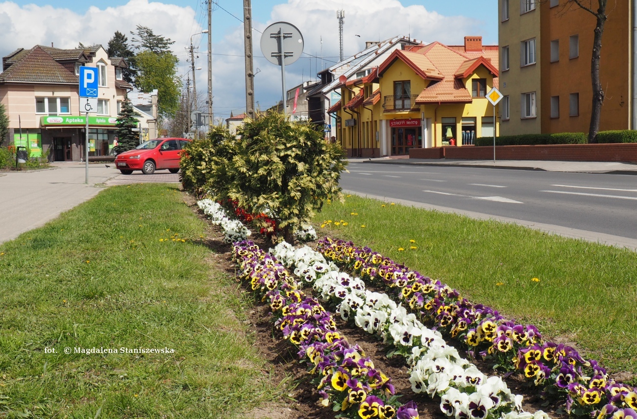 Wiosna w miecie, ulica Piastowska, 24.04.2016 r.
