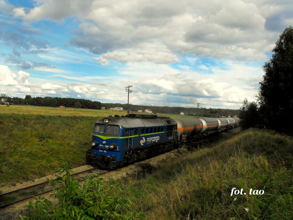 Kolejowe przewozy. Lokomotywa PKP Cargo na szlaku do Torunia. W oddali miejscowo Mieszczk, 5.09.2010 r.