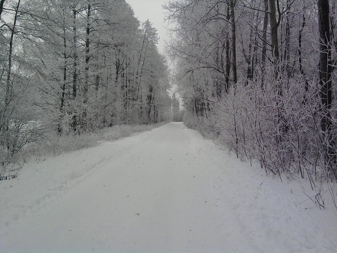 Zimowa droga prowadząca na stację PKP Szczutowo od strony ulicy Kolejowej, 16.01.2010 r.