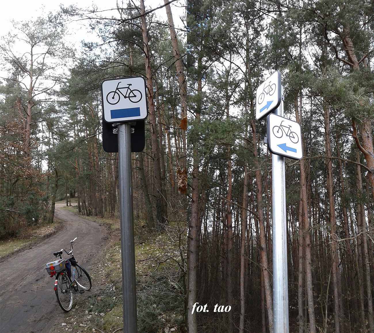 Pierwsze dni wiosny i czas na rekreacj rowerow. Na fotografii trasa w Mieszczku k/Sierpca oznaczona perfekcyjnie, ju nikt nie powinien teraz zabdzi w lesie, 5.04.2018 r.