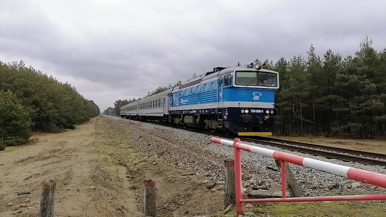 Pociąg pospieszny TLK Flisak wyjechał ze stacji Sierpc i kieruje się do Brodnicy, przejeżdżając przez las w Walerianowie, 11.02.2022 r.