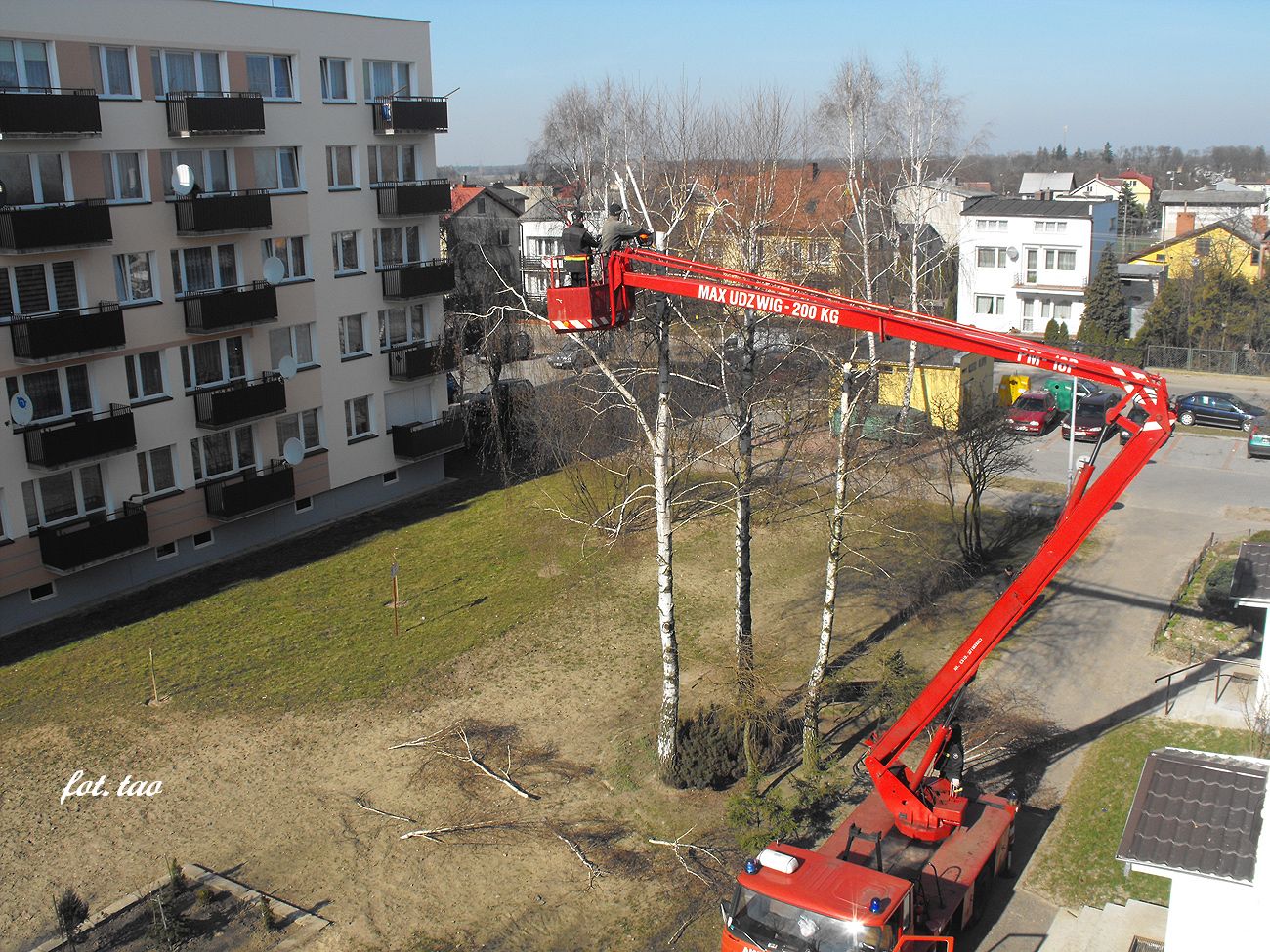 Wiosenne przycinanie drzew na terenie Spółdzielni Mieszkaniowej to praca dla odważnych, 10.03.2014 r.