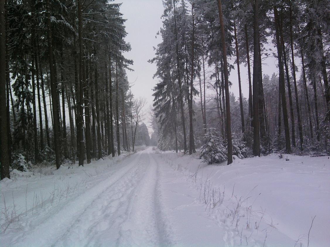 Leśna, nowo utwardzona droga ze Szczutowa do miejscowości Grabal w gminie Szczutowo, 16.01.2010 r.