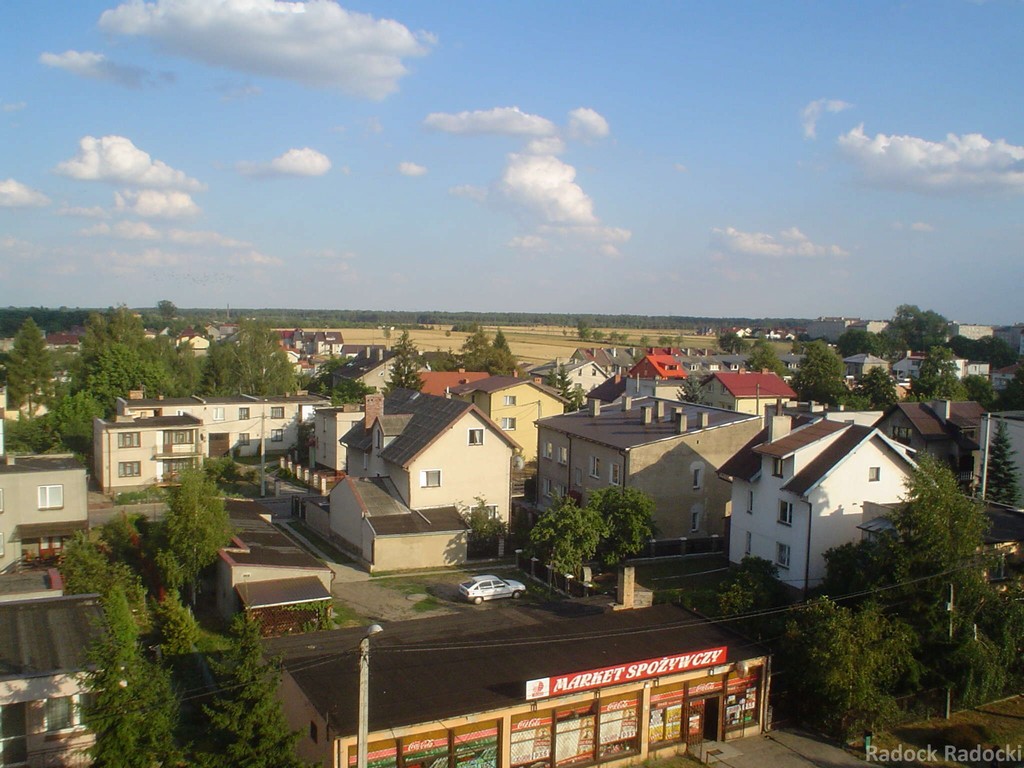 Widok na domy mieszkalne wzdu ul. Mickiewicza