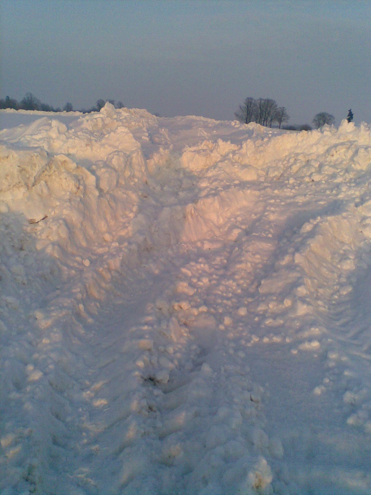 Droga do Białyszewa-Towarzystwa,  9.02.2010 r.